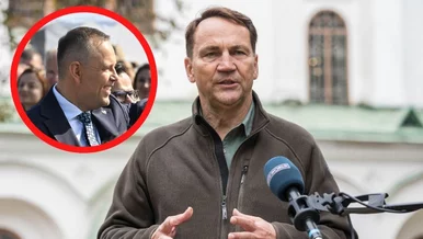 Miniatura: Sikorski zyskał sojusznika ws. apelu do...