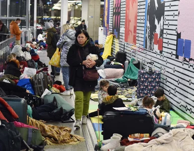 Miniatura: Hotelarze kwaterują Ukraińców. Pomagają...