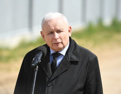 Miniatura: Kaczyńskiego zagadnięto „ryżego Tuska”....