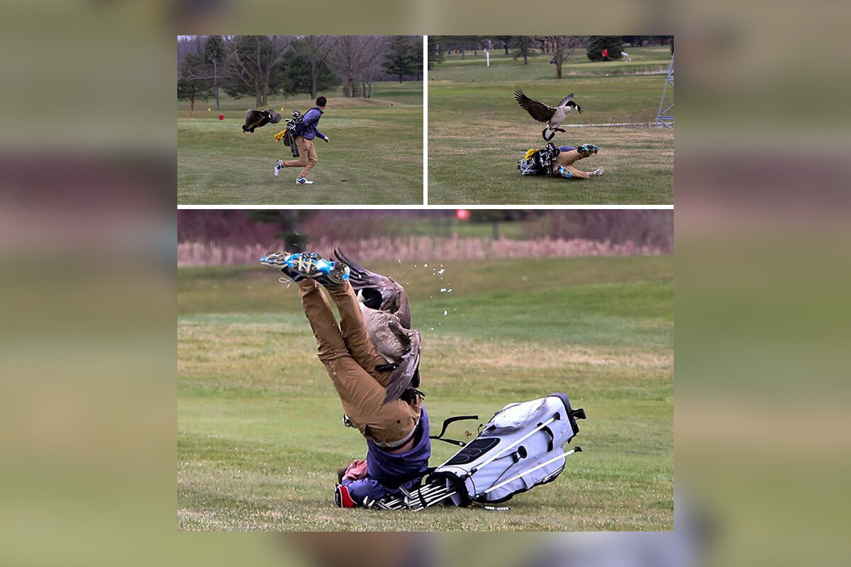 A chciał tylko pograć w golfa... 