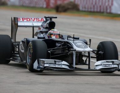 Miniatura: F1: Maldonado rozbił bolid. "Na pokazowym...