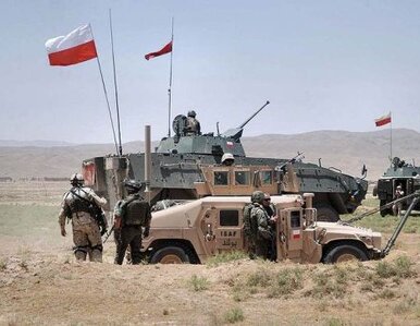 Miniatura: Oficer polskiego wywiadu w raportach...