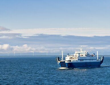 Miniatura: Wyższe ceny na Helu. Tyle będzie kosztować...