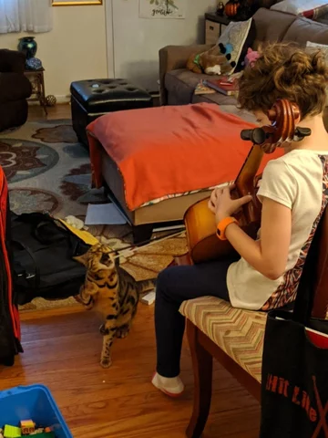 Pewnie grała nieczysto 