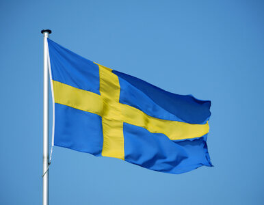 Miniatura: Szwedzi szykują się do wojny z Rosją?...