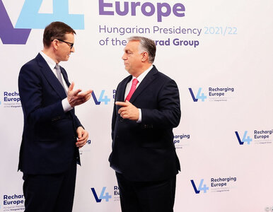 Miniatura: Niemcy biją na alarm. Wzięto pod lupę...