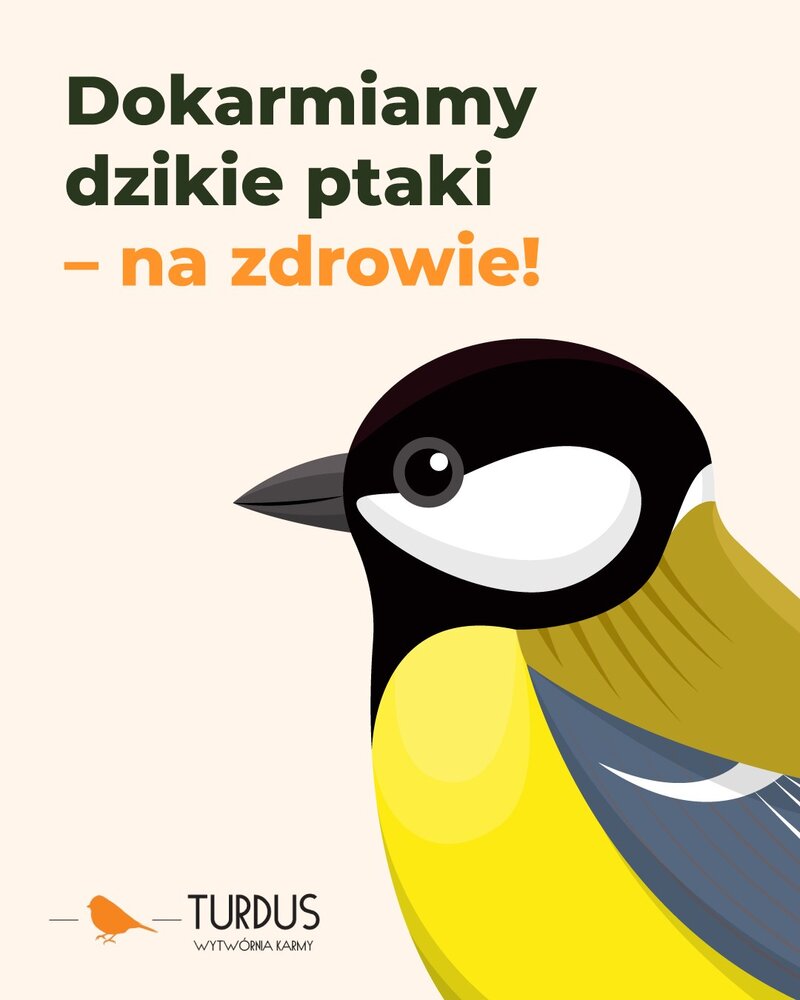 Jak dokarmiać ptaki w prawidłowy sposób?