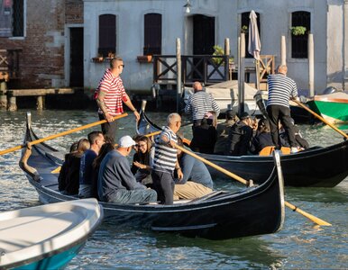 Miniatura: Wenecja chce się ukryć przed turystami. Te...