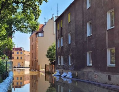 Miniatura: Ile będzie nas kosztowała powódź? Jest...