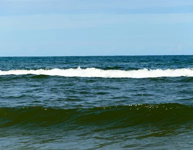 Miniatura: Podwodna stacja badawcza zniknęła z dnia...