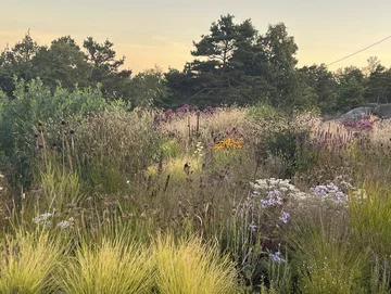 Ogród projektu Mariann Gundersen Scandinavian Design Awards, ogród, Mariann Gundersen