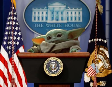 Miniatura: Na punkcie Yody małego oszalał świat....