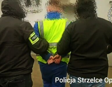 Miniatura: Sprawa zaginięcia 11-letniej Patrycji....