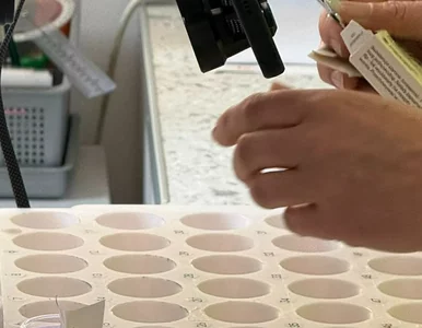 Miniatura: Rewolucja na oddziałach szpitalnych....