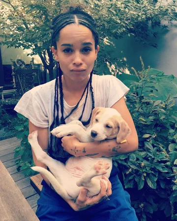 Zoe Kravitz 