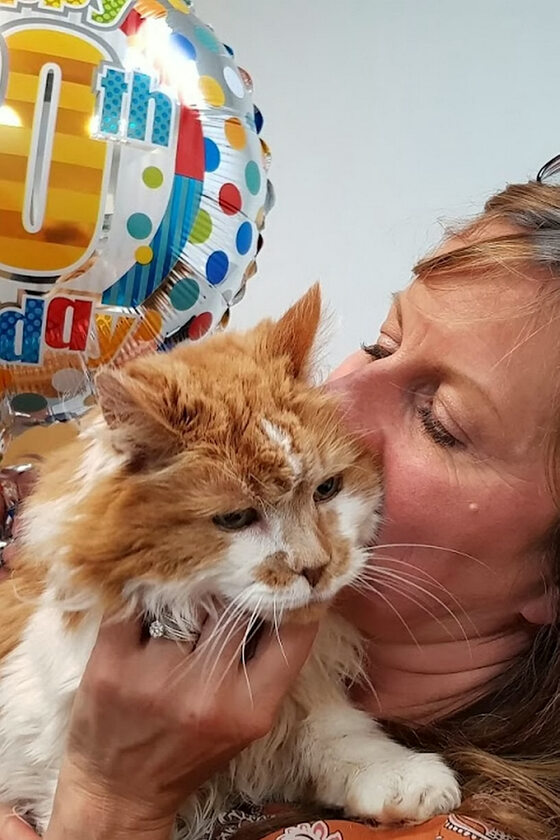 Kot Rubble w 30. urodziny 