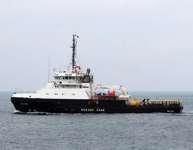 Miniatura: Ukraińcy chwalą się sukcesem. Trafili...