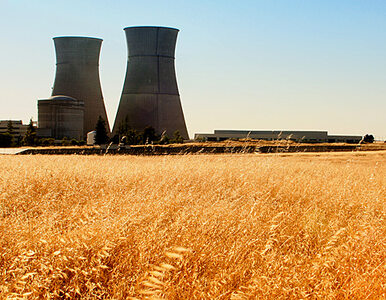 Miniatura: Ile procent elektrowni jądrowej zbudują...