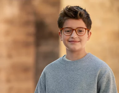 Miniatura: Łączenie metod w kontroli...