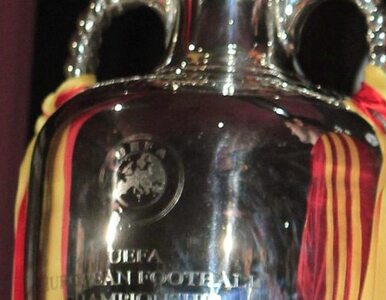 Miniatura: Katowice witają trofeum Euro 2012