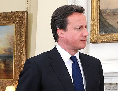 Miniatura: David Cameron ma problemy z wizerunkiem?