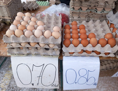 Miniatura: Co z cenami jajek? Producenci walczą z...