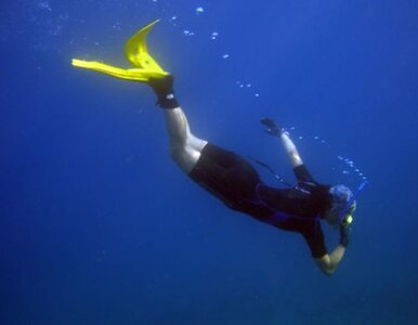 Miniatura: Podwodna święconka nurków