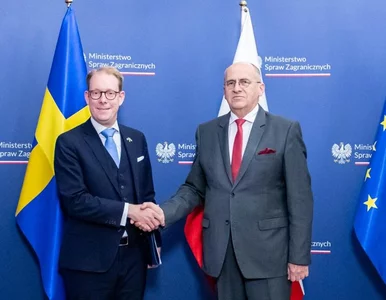 Miniatura: Minister Rau mówił o migracji w UE....