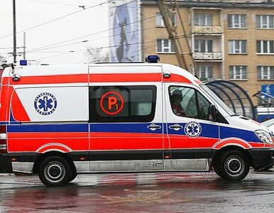 Miniatura: Wypadek Polskiego Busa. Trzy osoby są ranne