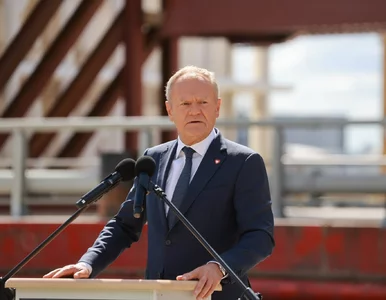 Miniatura: Rzecznik Konfederacji o Berku w TK....