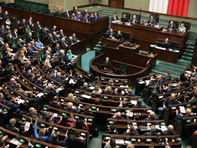 Miniatura: Sejm zdecydował o przyszłości projektu ws....