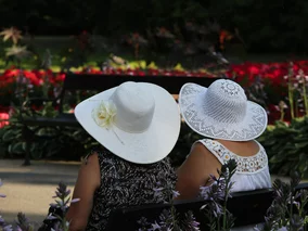 Miniatura: Seniorzy przesadzają w&nbsp;uzdrowiskach....