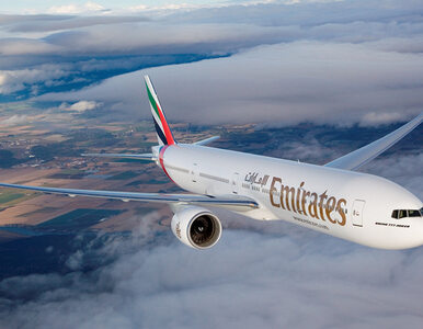 Miniatura: Tragedia w liniach Emirates. Stewardessa...