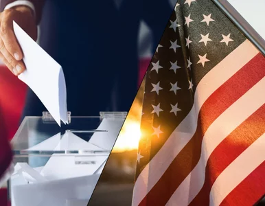 Miniatura: Tak zagłosowała Polonia w USA. Jeden...
