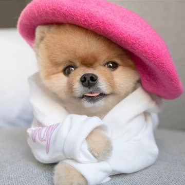 Jiffpom 