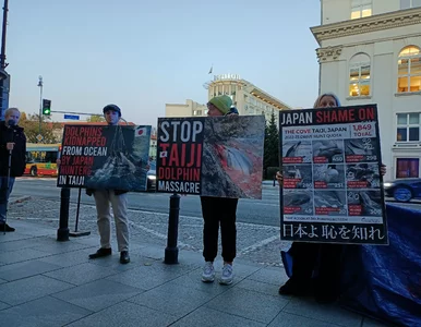 Miniatura: Przeciwnik aborcji kontra obrońcy...