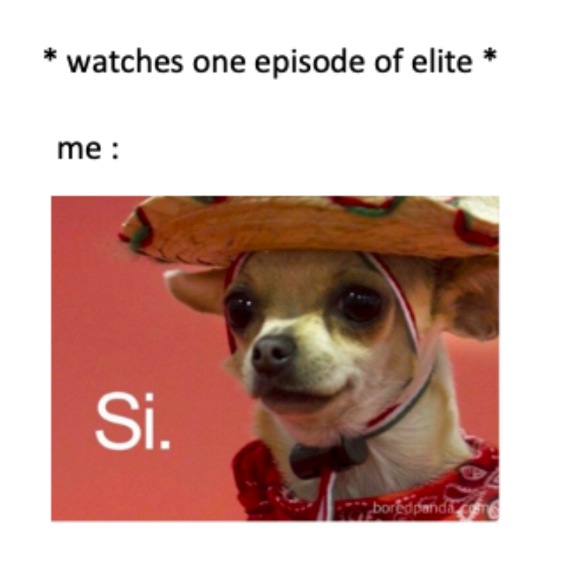 Mem inspirowany serialem „Szkoła dla elity” Ja po obejrzeniu jednego odcinka „Szkoły dla elity”: Si.