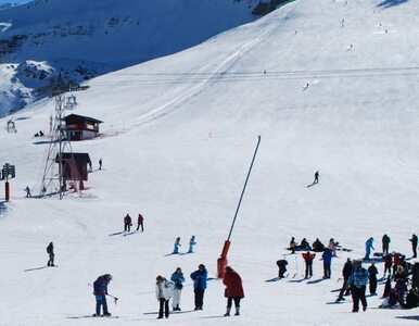 Miniatura: Wyjazdy narciarskie tańsze niż rok temu