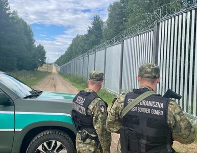 Miniatura: Akcja służb na granicy z Białorusią....