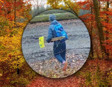 Miniatura: Skandaliczne zachowanie w lesie pod...