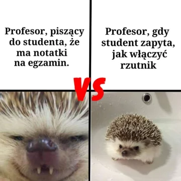 Mem z wykładowców włamujących się na grupki studenckie 
