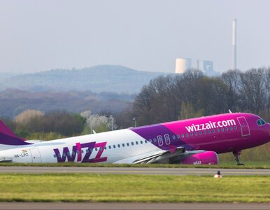 Miniatura: To miały być wakacyjne hity. Wizz Air...