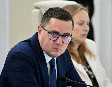 Miniatura: Tak wzrosły ceny po wygaszeniu CPN. „Rząd...