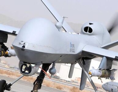 Miniatura: Atak z drona przerwał egzekucję. RAF...