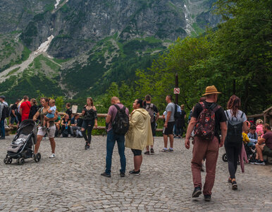 Miniatura: Dobre wiadomości z Tatr. Morskie Oko ma...