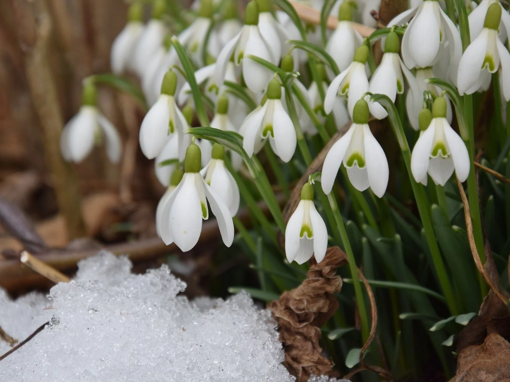 Uzupełnisz brakujący wyraz? Pytamy o polskie przysłowia
