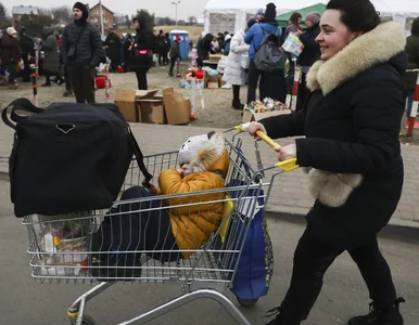 Miniatura: Embargo na gaz i ropę ostatecznie...