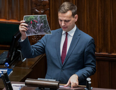 Miniatura: Poseł Konfederacji twierdzi, że kopalnia...