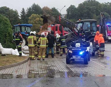 Miniatura: Alarm przeciwpowodziowy w Głuchołazach....