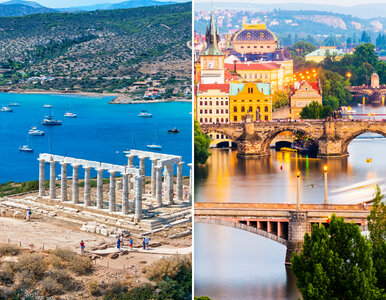 Miniatura: Pewniak na letni długi weekend. W tym...